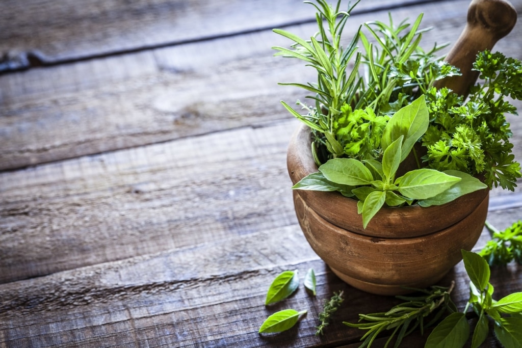 La phytothérapie : est-ce remboursé par la Sécurité Sociale ?
