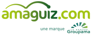 logo-amaguiz