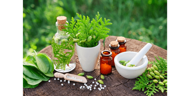 Remboursement naturopathe : tout savoir